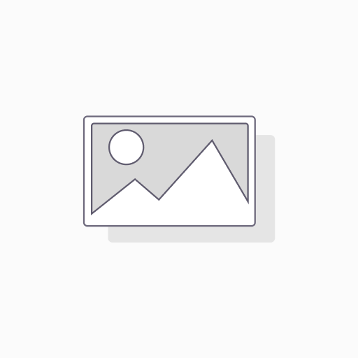 GABO STAHL - Ladies Long Sleeve Tailored Non-Iron Shirt